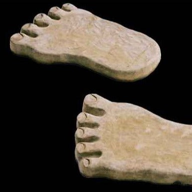 Stepping Stone-Big Feet