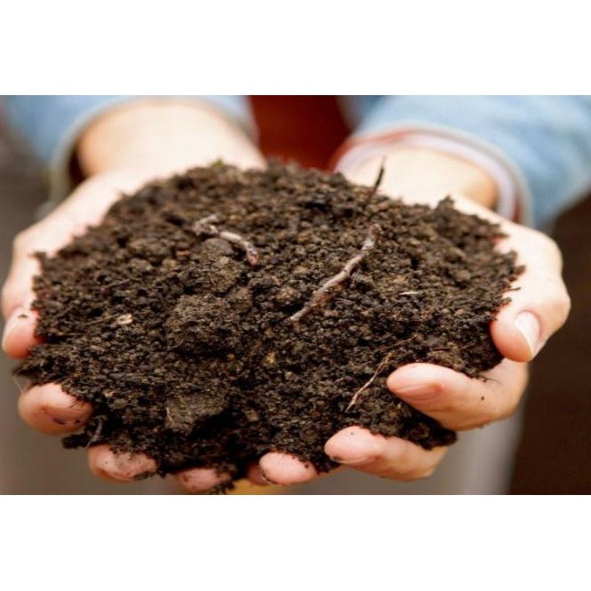 Triple Mix Examples Triple Mix – Allen's Landscape Supply Depot